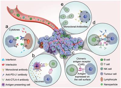 Near Infrared Light Triggered Photo/Immuno-Therapy Toward Cancers